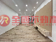 大同國小美公寓